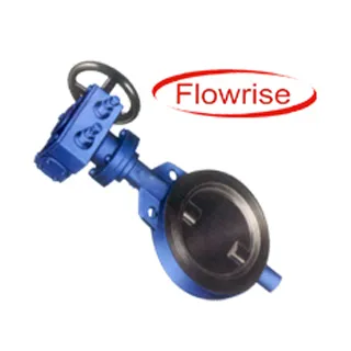 Butterfly Valve India